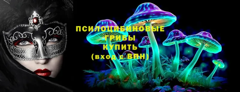 Галлюциногенные грибы Magic Shrooms  Видное 